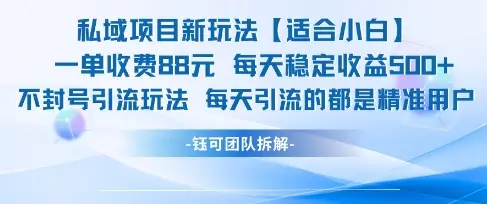 私域项目新玩法【适合小白】 一单收费88.每天稳定收益几张