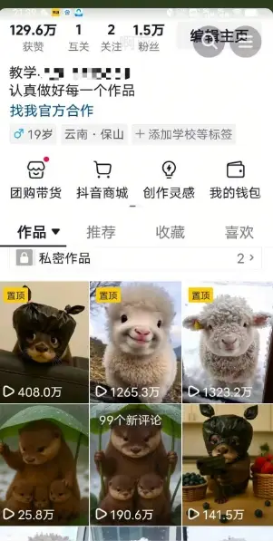 抖音65W博主AI萌宠课程，新赛道流量大，原创+二创，全套课程+提示词