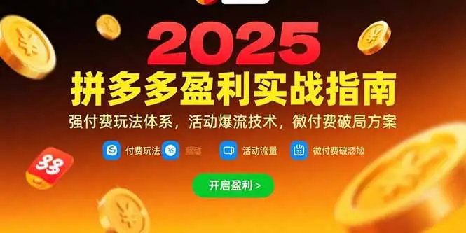 拼多多盈利实战指南，强付费玩法，活动爆流技术，微付费破局方案(更新7月