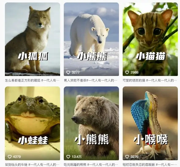 最新搞笑动物百科详细解说课程，蓝海赛道，流量非常大，轻松签独家进精选