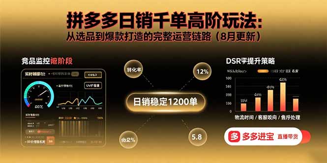 拼多多日销千单高阶玩法：从选品到爆款打造的完整运营链路(8月更新