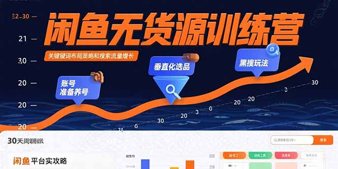 闲鱼无货源训练营：账号准备养号/垂直化选品/黑搜玩法，0基础30天盈利指南