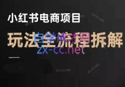 菲菲老师·小红书电商玩法(更新9月)