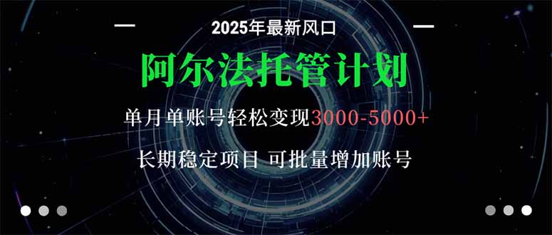 阿尔法托管计划 单账号月入3000-5000，长期稳定项目，新手小白轻松上手。