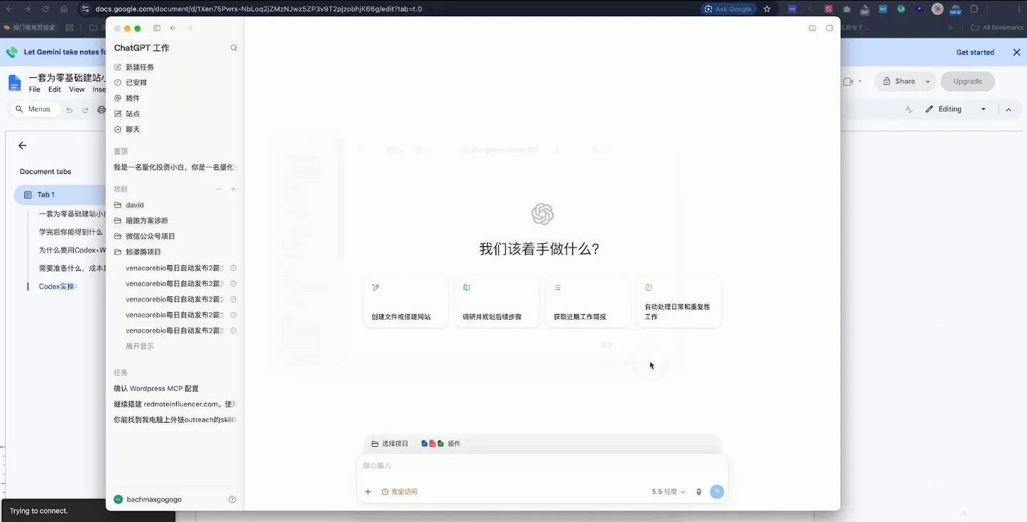 大卫·外贸人Codex + WordPress建站课(更新8月)