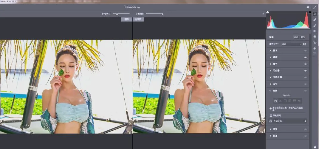 RAW处理Adobe Camera Raw v18.3.1中文版