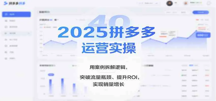 2025拼多多运营实操，用案例拆解逻辑，突破流量瓶颈、提升ROI，实现销量增长（更新）