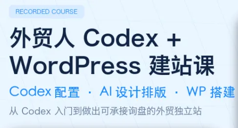 大卫·外贸人Codex + WordPress建站课(更新8月)