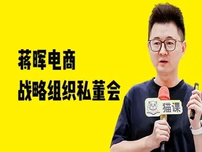 蒋晖电商战略组织私董会-教程视频打包下载