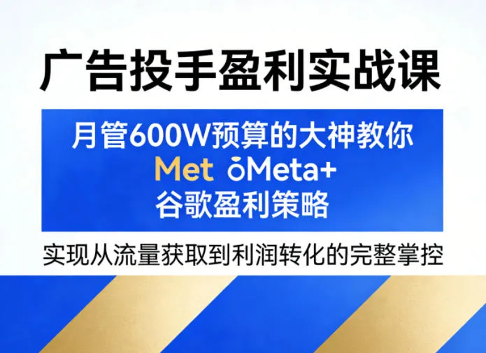 广告投手盈利实战课，月管600W预算的大神教你Meta+谷歌盈利策略，实现从流量获取到利润转化的完整掌控