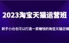 2023淘宝天猫运营班，新手小白也可以打造一家赚钱的淘宝天猫店铺