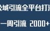 精准获客工具号，一周引流 2000+，公域引流全平台打法