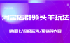 淘宝店群领头羊玩法，精细化/终极蓝海/尾销等内容（第10-12期）