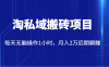 价值2980的淘私域搬砖项目,每天无脑操作1小时,月入2万后期躺赚