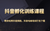抖音孵化训练课程-教你玩转抖音网络，抖音电商培训打包下载