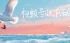 （6637期）视频号做下雨视频一个账号一周涨粉10W+年入100w