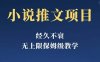 经久不衰的小说推文项目，单号月5-8k，保姆级教程，纯小白都能操作