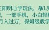王阳明心学玩法，暴L变现，一部手机，小白轻松月入过万，保姆级教学【揭秘】