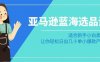 亚马逊-蓝海选品课：适合新手小白卖家，让你轻松日出几十单小爆款产品