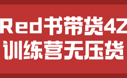 小Red书带货42天训练营无压货