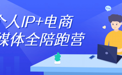 个人IP+电商自媒体全陪跑营