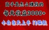 (10436期)高手是怎么赚钱的,一天收益3000+ 这是穷人逆风翻盘的一个项目,非常稳…