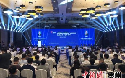 “东数西算”产业合作会——贵阳大数据科创城暨服务器产业链招商活动在贵阳举行