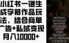 小红书一键生成字幕作品玩法，结合商单广告+私域变现月入1w+