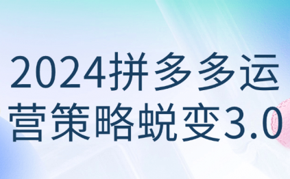 2024拼多多运营策略蜕变3.0