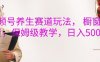视频号养生赛道玩法， 橱窗带货，保姆级教学，日入5张