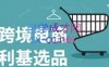 阿甘·2025年跨境电商选品案例(更新7月)