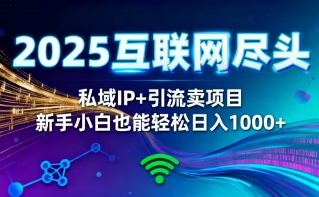 2025网创尽头王炸项目！私域 IP + 精准引流，新手小白在家躺赚日入 1000+