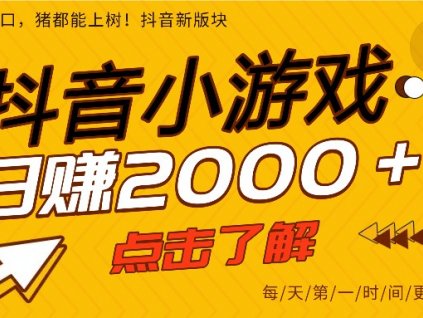 5年爆火的抖音小游戏项目,一部手机日入2000+
