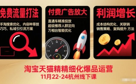 淘宝天猫精细化爆品运营11月22-24杭州线下课,免费流量打法+付费广告放大+利润增长(音频+文档)